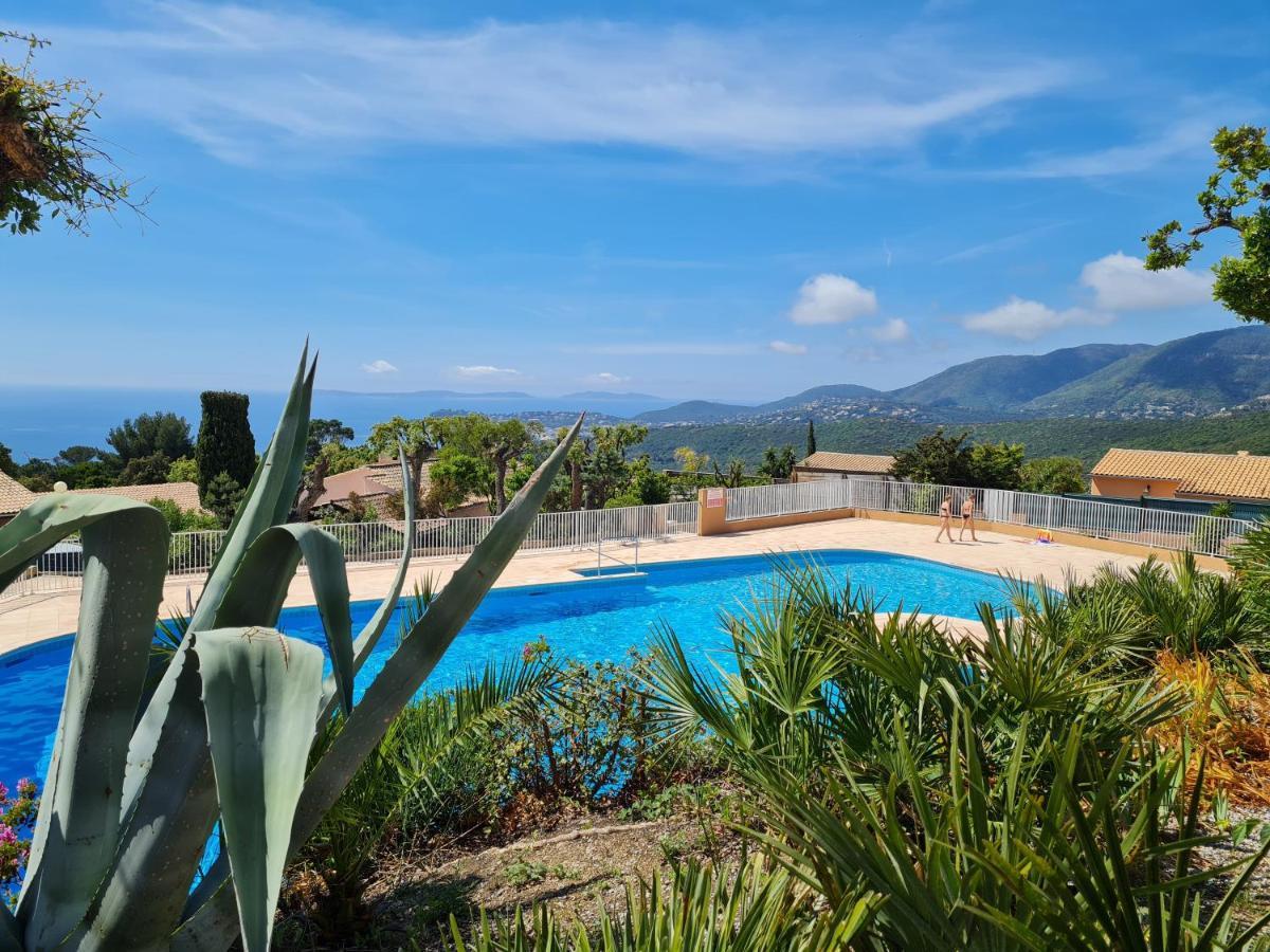 Bel Appartement Renove, Avec Terrasse Et Piscine La Croix-Valmer Eksteriør billede