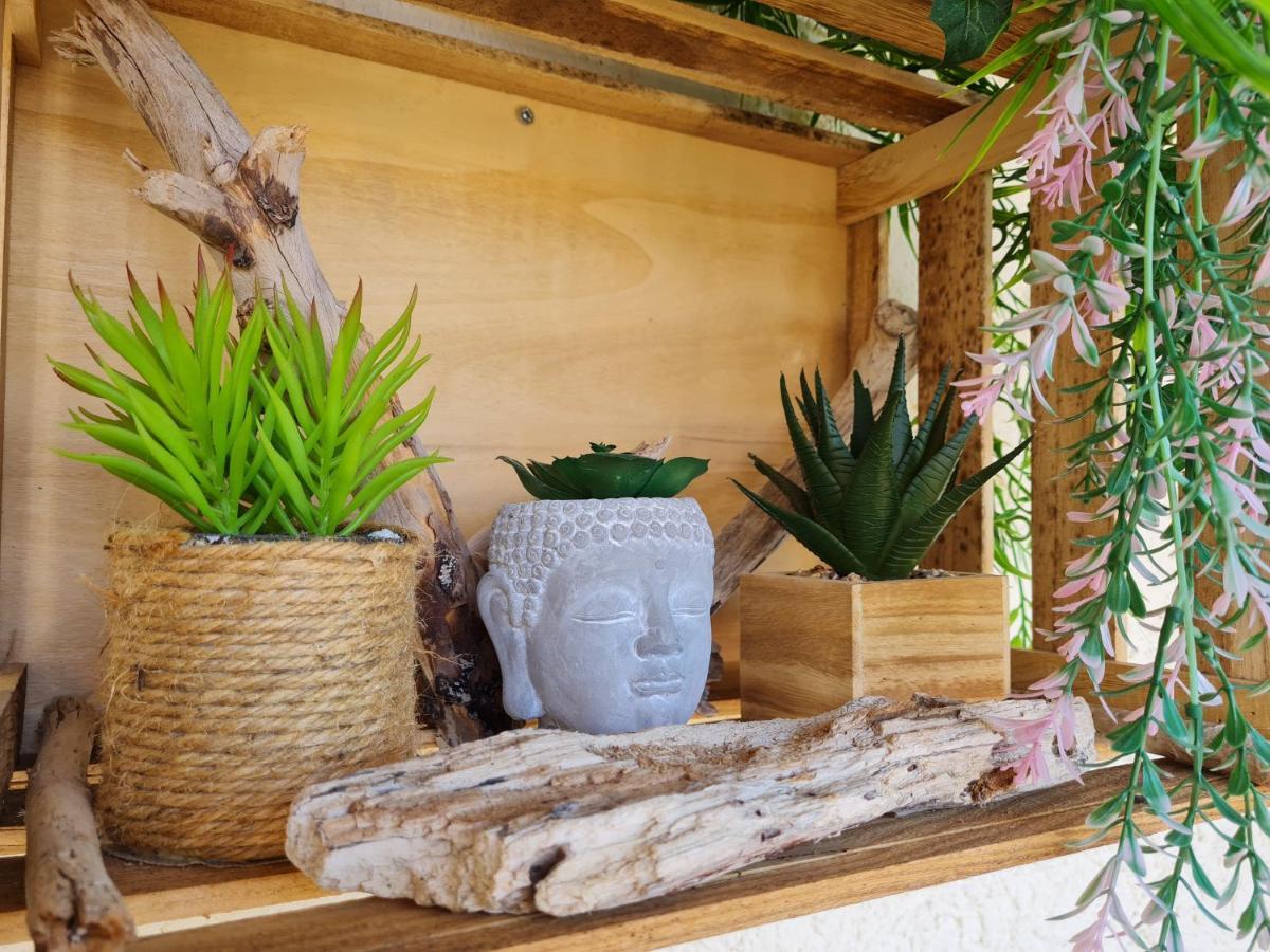 Bel Appartement Renove, Avec Terrasse Et Piscine La Croix-Valmer Eksteriør billede