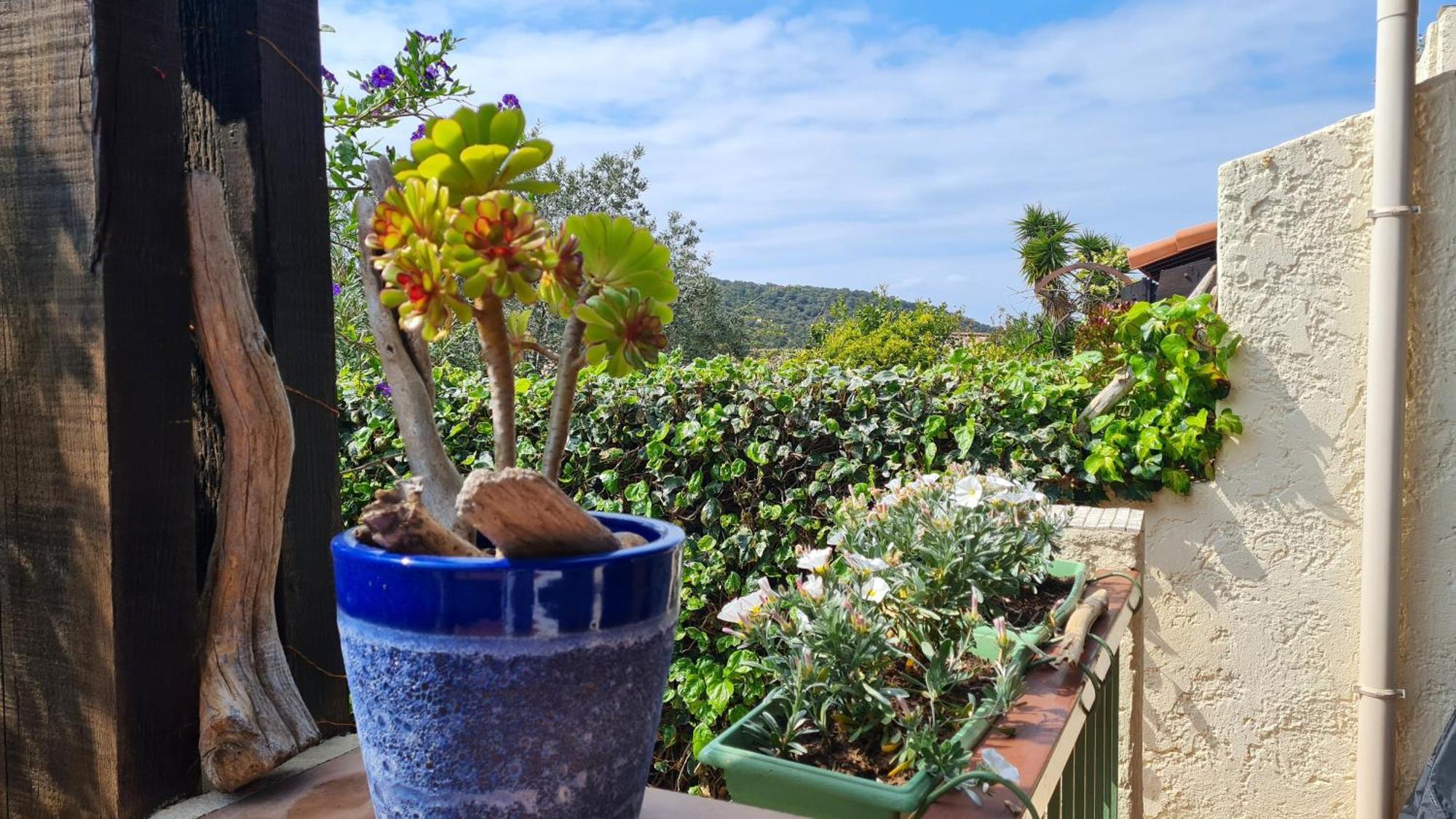 Bel Appartement Renove, Avec Terrasse Et Piscine La Croix-Valmer Eksteriør billede